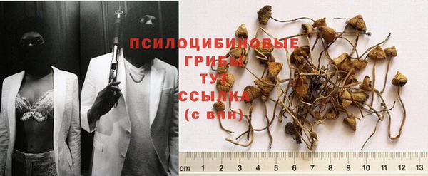 МДПВ Приозерск