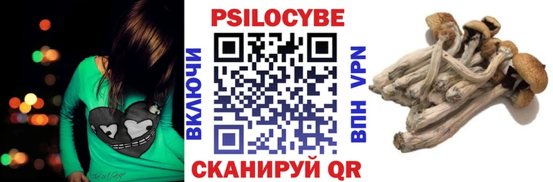 купить  цена  Сергач  ссылка на мегу рабочий сайт  Галлюциногенные грибы GOLDEN TEACHER 